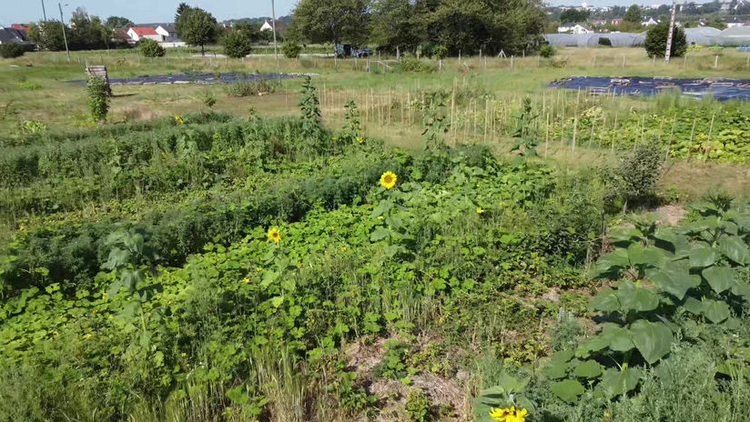 Jardin étudiants Coopératif de blois! En Gestion Holistique des Territoires